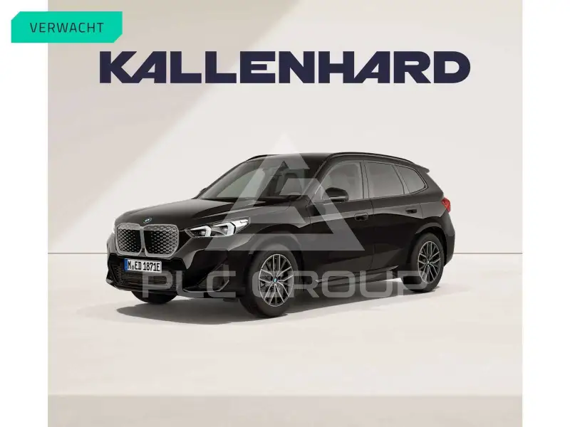 2025 BMW iX