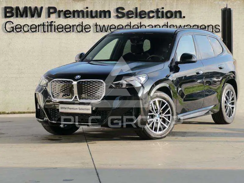 2025 BMW iX