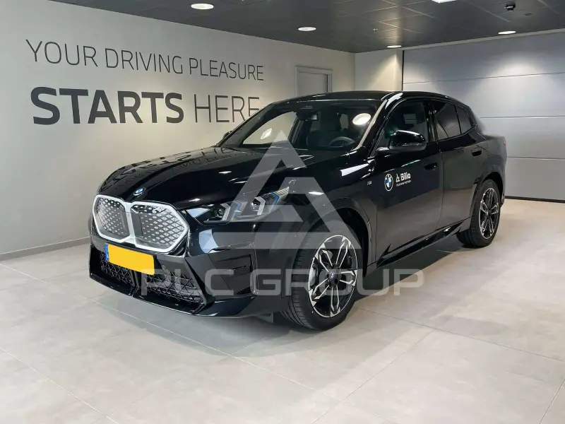 2025 BMW iX