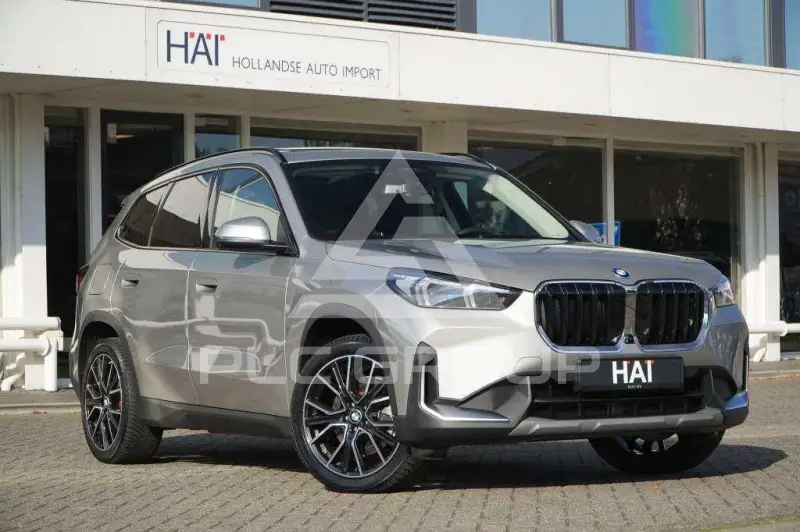 2025 BMW X1