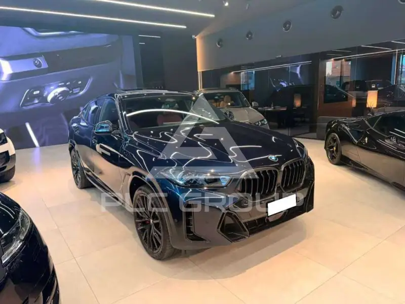 2025 BMW X6