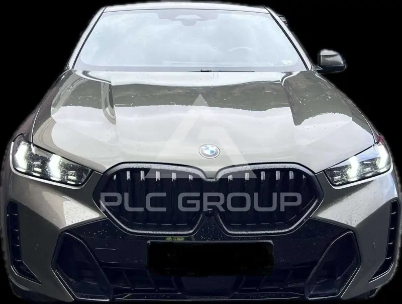 2025 BMW X6