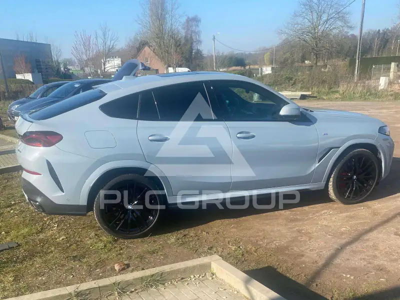 2025 BMW X6