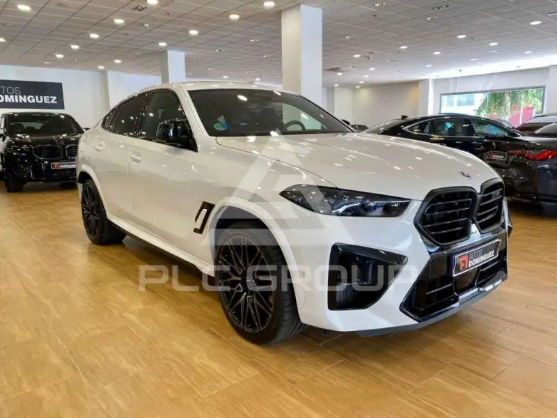 2025 BMW X6