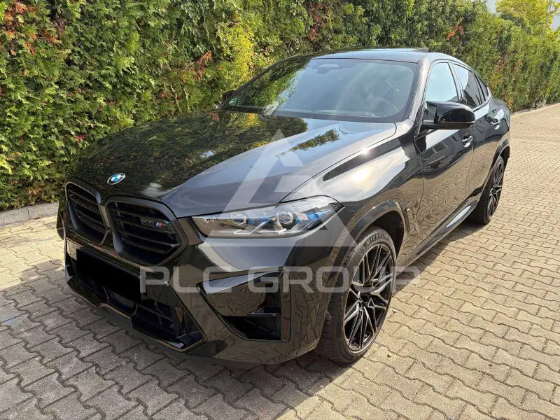 2025 BMW X6