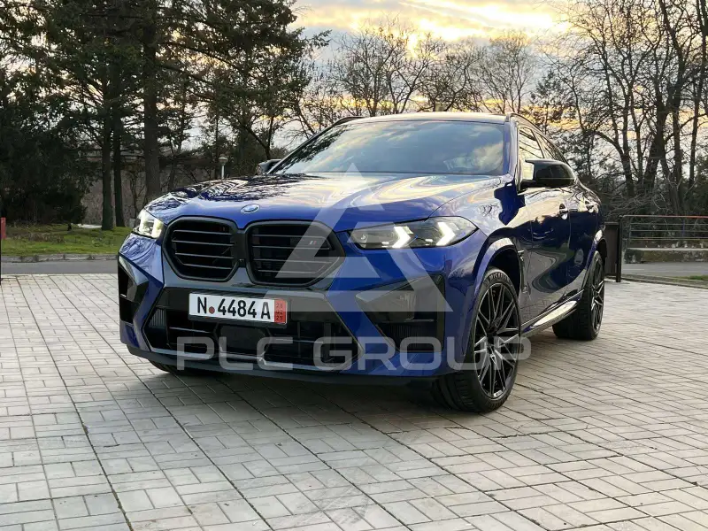 2025 BMW X6