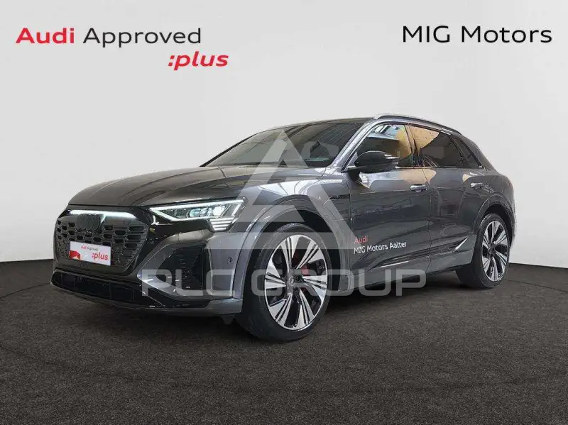 2025 Audi Q8