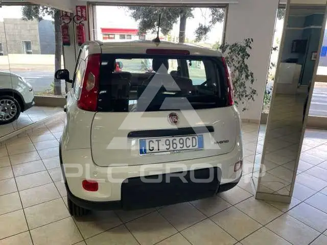 2026 Fiat Panda