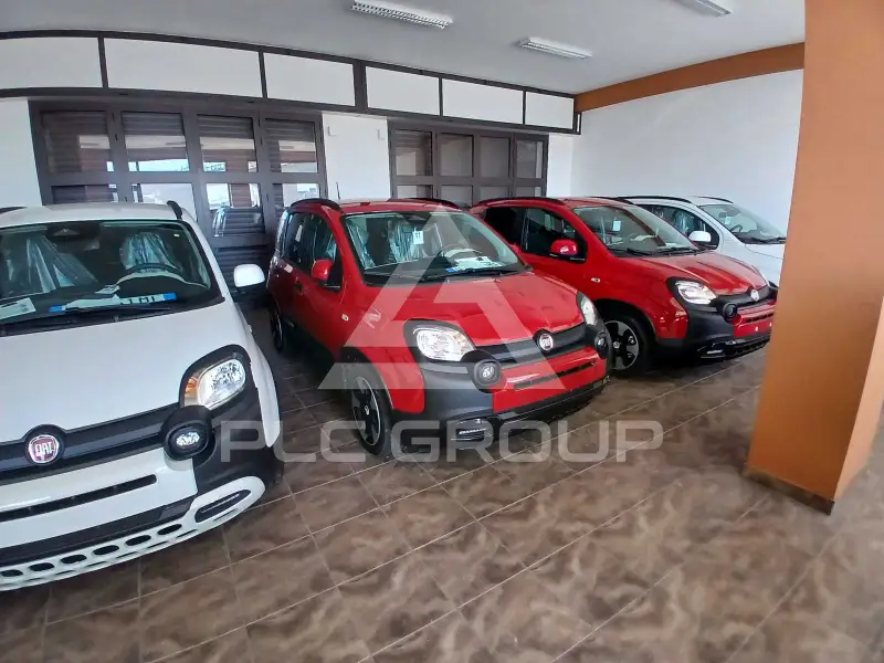 2025 Fiat Panda