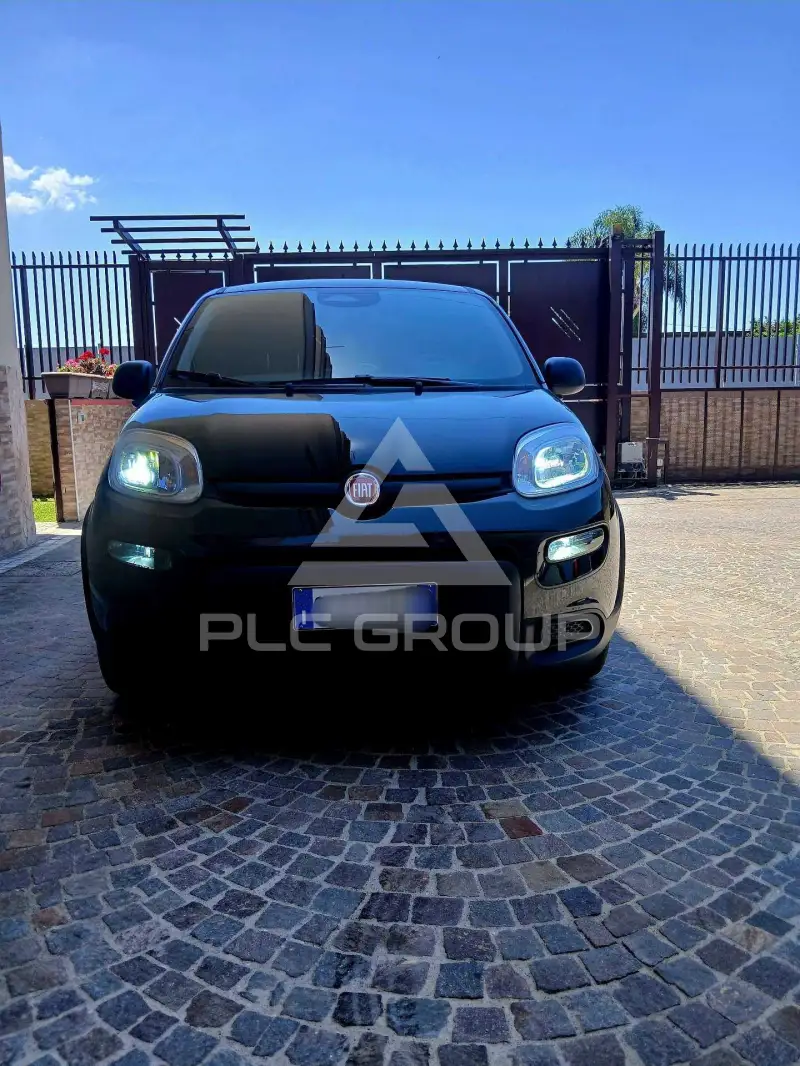 2025 Fiat Spider