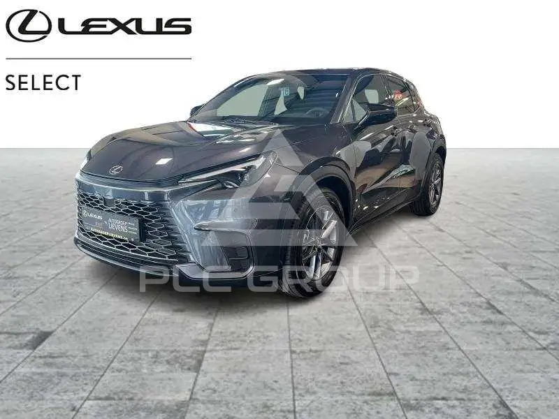 2025 Lexus LBX