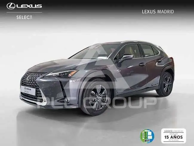 2025 Lexus UX