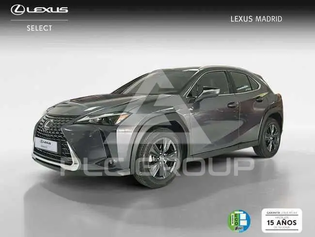 2025 Lexus UX