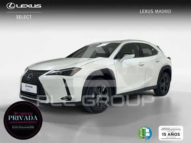 2025 Lexus UX