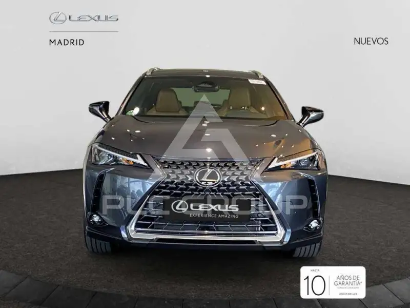 2025 Lexus UX