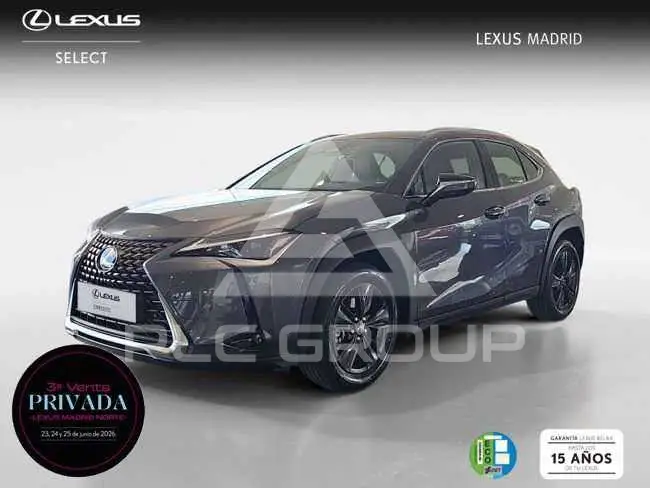2025 Lexus UX