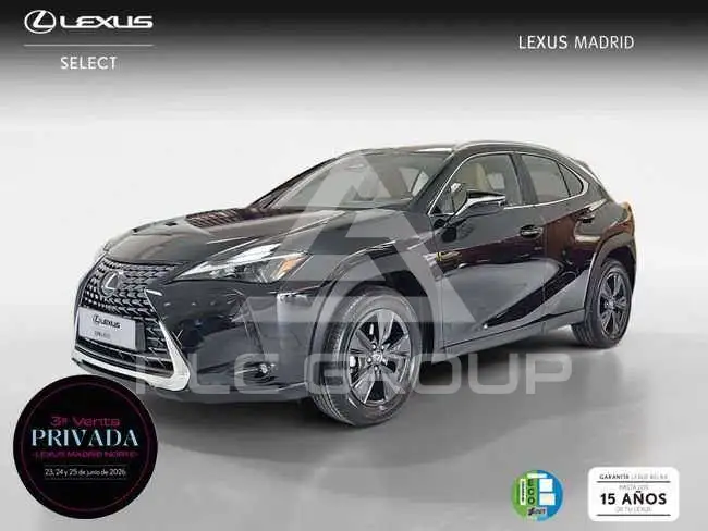 2025 Lexus UX