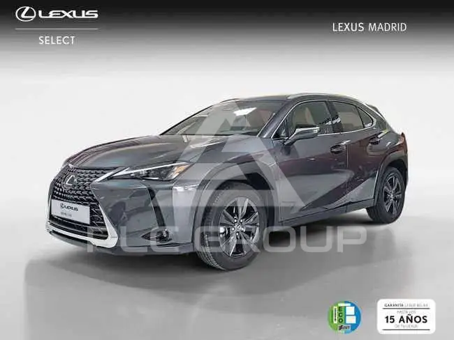 2025 Lexus UX