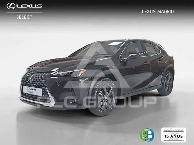2025 Lexus UX