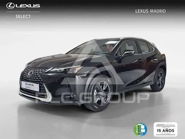 2025 Lexus UX