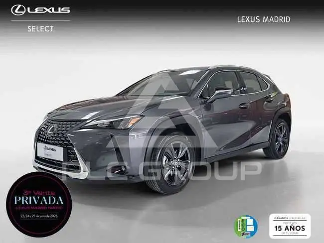 2025 Lexus UX
