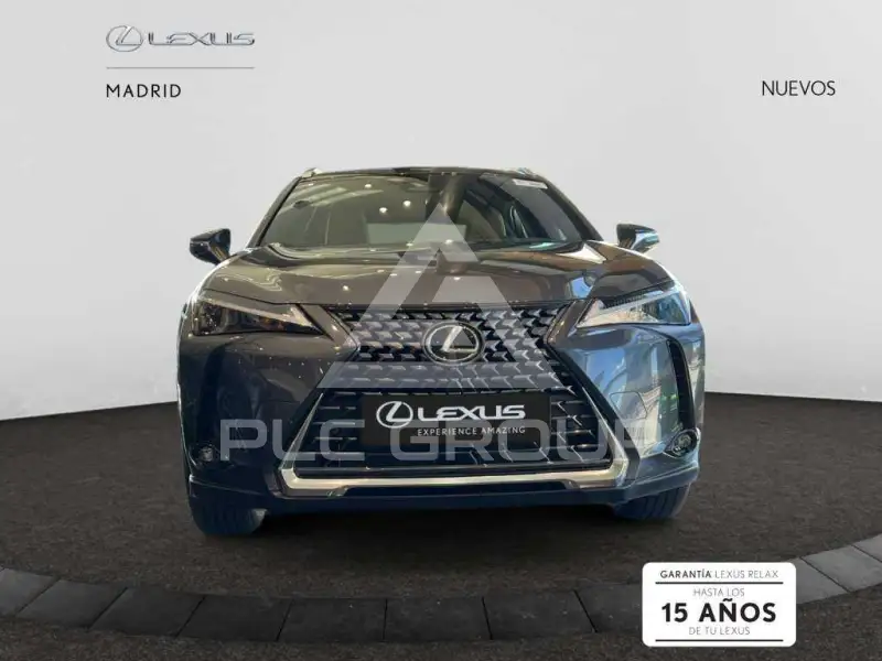 2025 Lexus UX