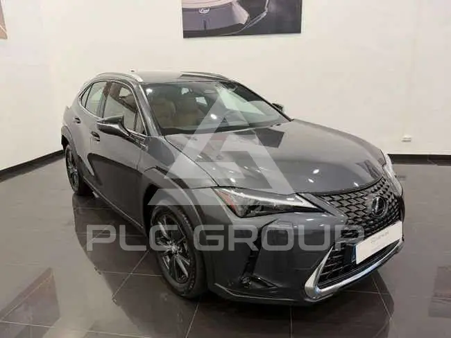 2025 Lexus UX