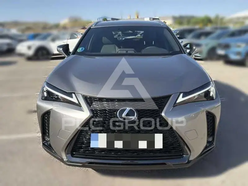 2025 Lexus UX250