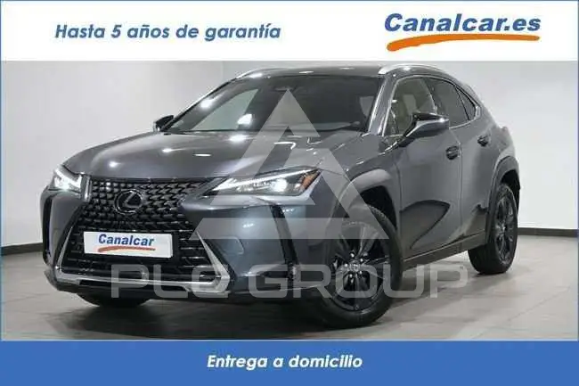 2025 Lexus UX250