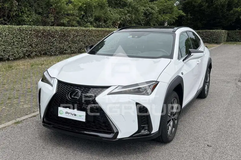 2025 Lexus UX250