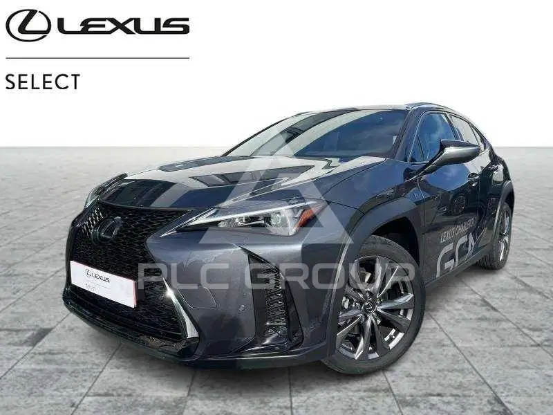 2025 Lexus UX250