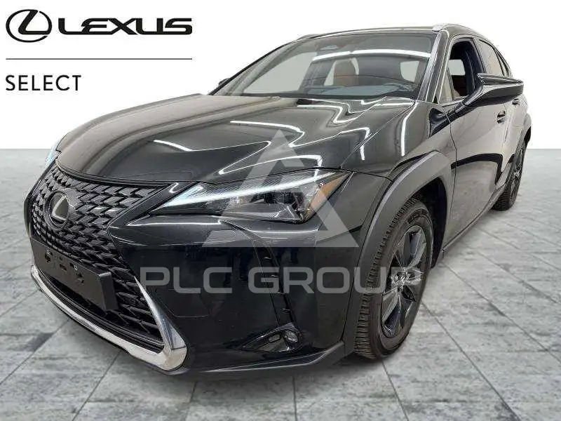 2025 Lexus UX250