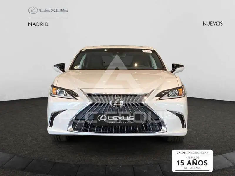 2025 Lexus ES300