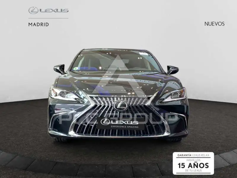 2025 Lexus ES300