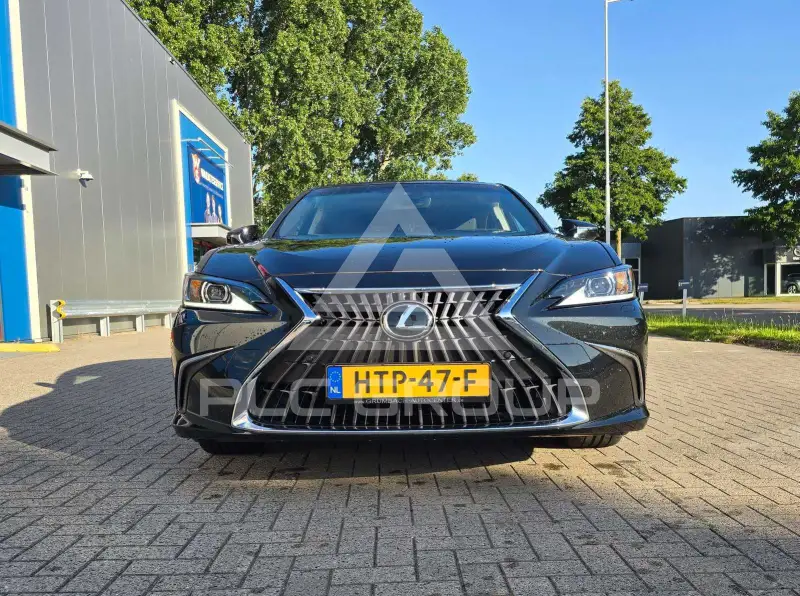 2025 Lexus ES300