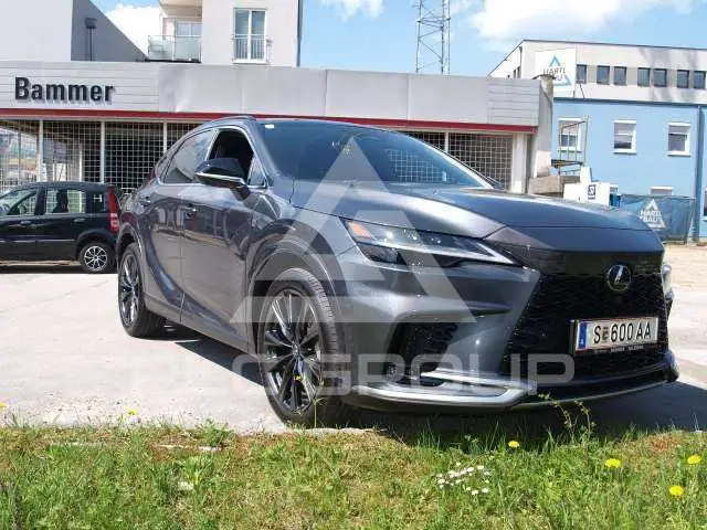 2025 Lexus RX450