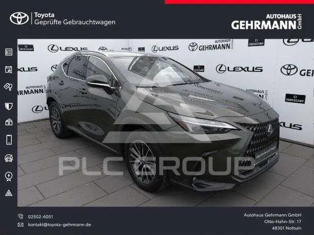2025 Lexus Other
