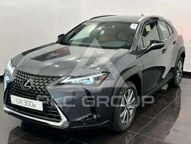 2025 Lexus UX