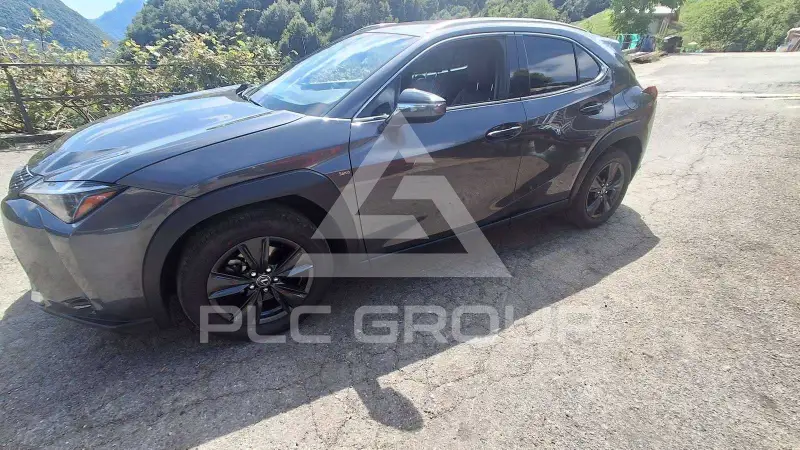 2025 Lexus UX