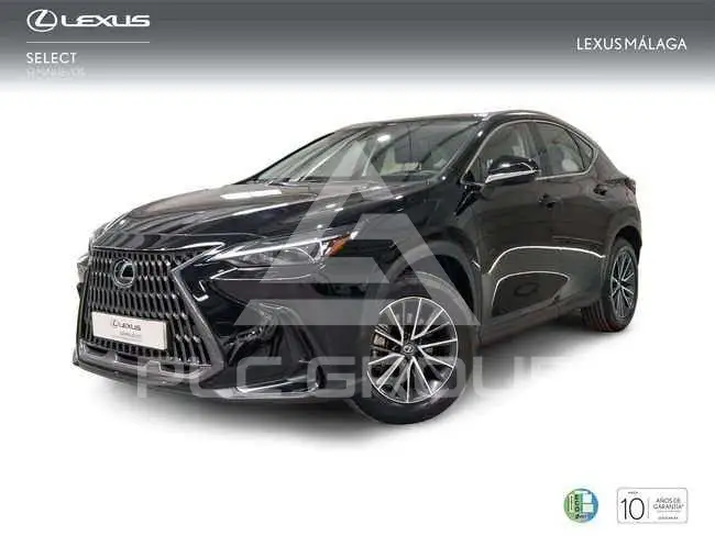 2025 Lexus NX250