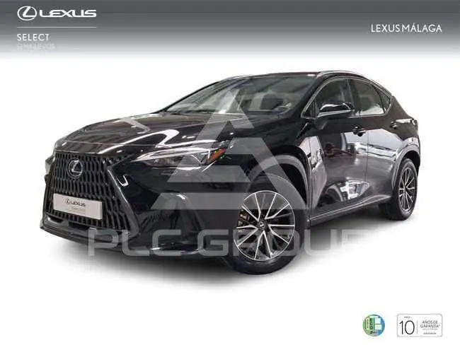 2025 Lexus NX250