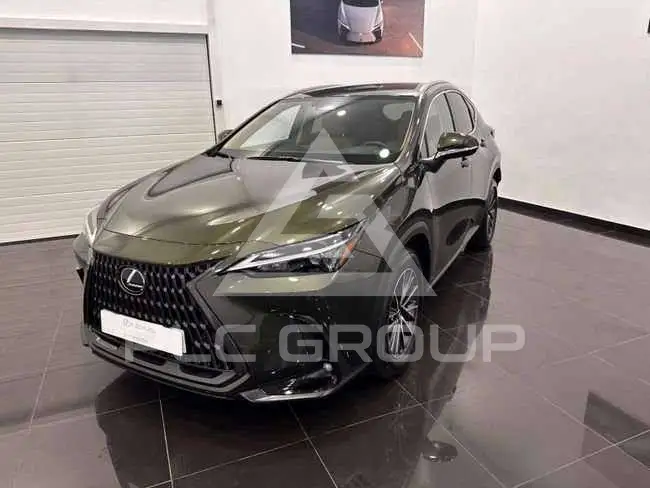 2025 Lexus NX250