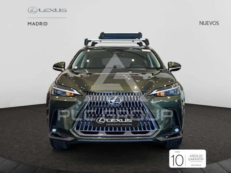 2025 Lexus NX250