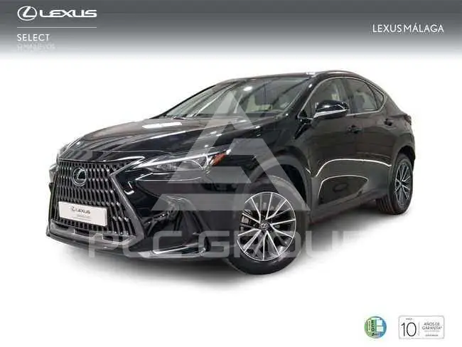 2025 Lexus NX250