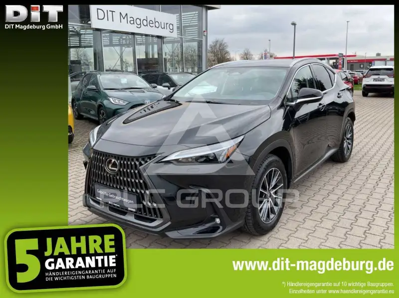 2025 Lexus NX250