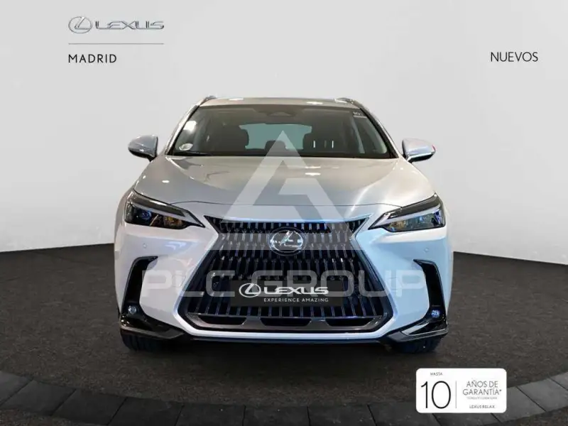 2025 Lexus NX250