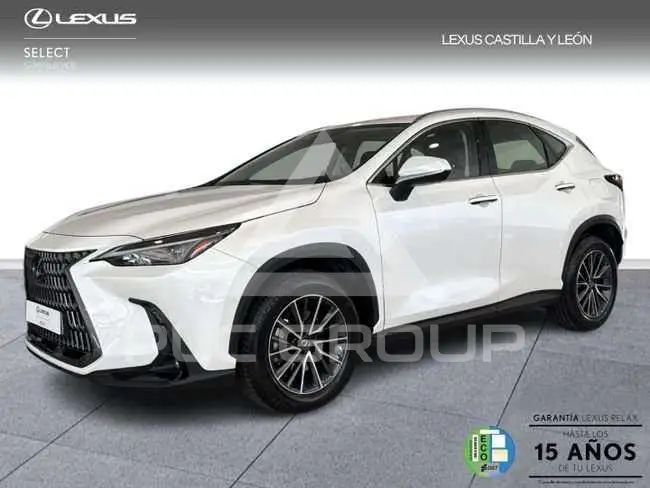 2025 Lexus NX250