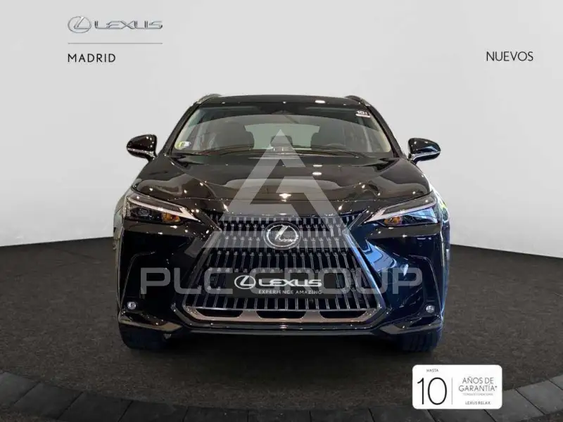 2025 Lexus NX250