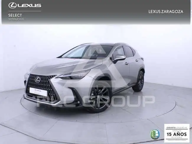 2025 Lexus NX250