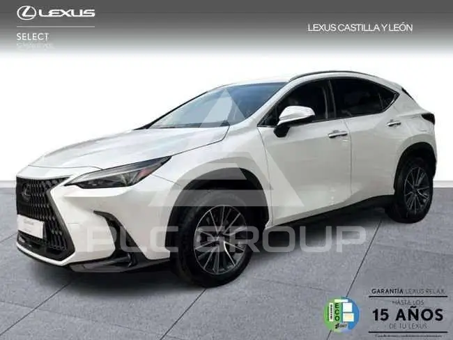 2025 Lexus NX250